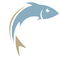 /logo